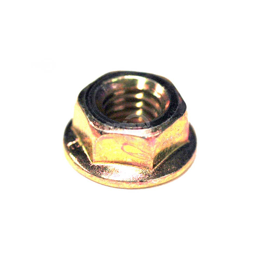 Rotary - 10796 - GUIDE BAR STUD NUT 6MM ECHO - Rotary Parts Store