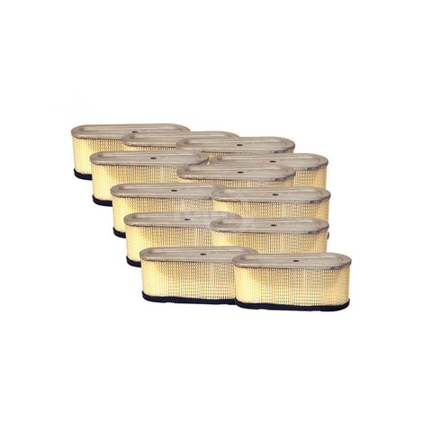 Rotary - 12936 - MASTER CTN REPLACEMENT FILTER FOR B&S 493909                 