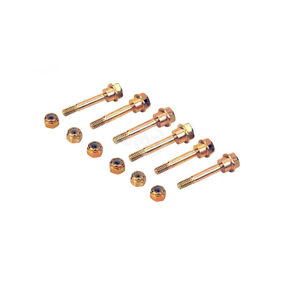 Rotary - 13397 - SHEAR BOLT & NUT SET FOR AYP                                 