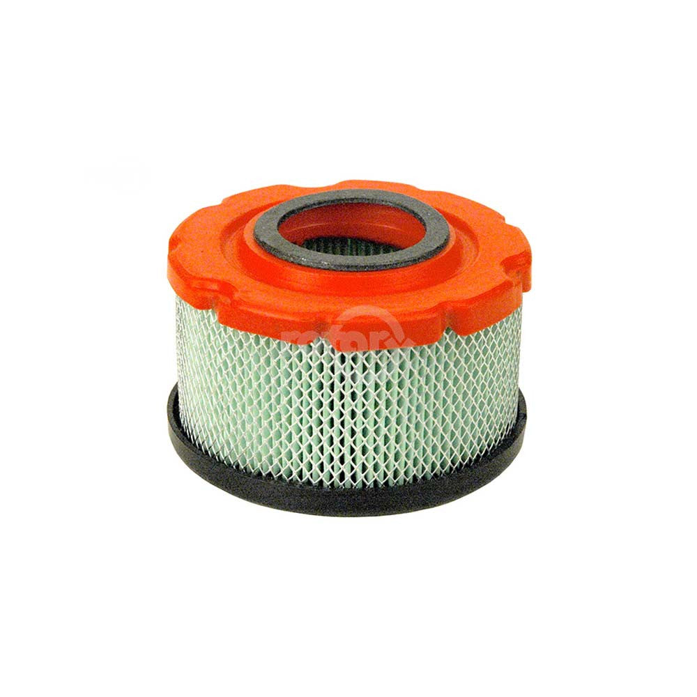 Rotary - 14089 - AIR FILTER CARTRIDGE FOR B&S                                 