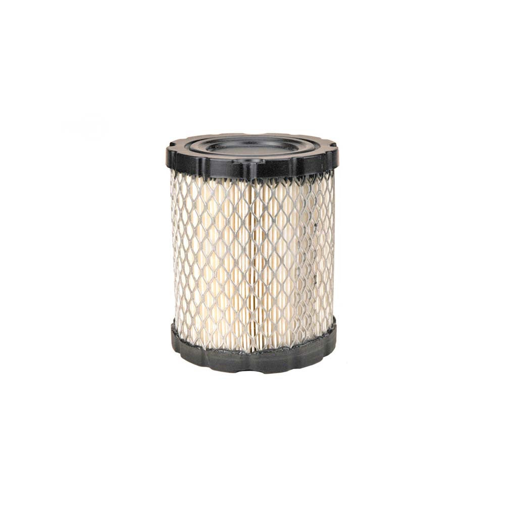Rotary - 14289 - AIR FILTER FOR B&S                                           