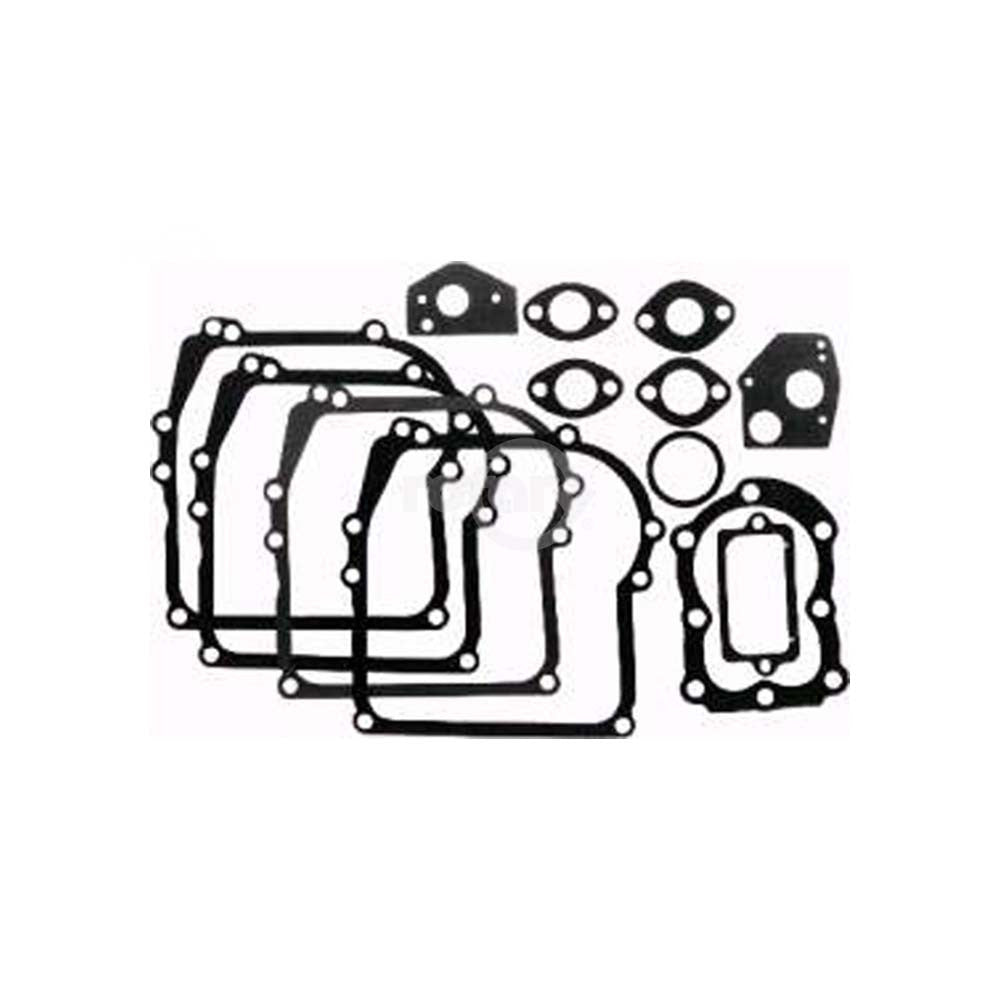 Rotary - 1469 - GASKET SET B&S                                               