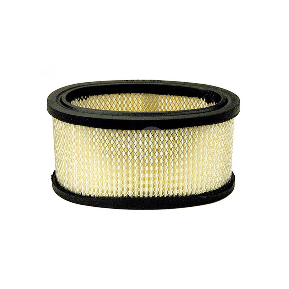 Rotary - 2778 - PAPER AIR FILTER 5-3/16"X3-1/4" B&S                          