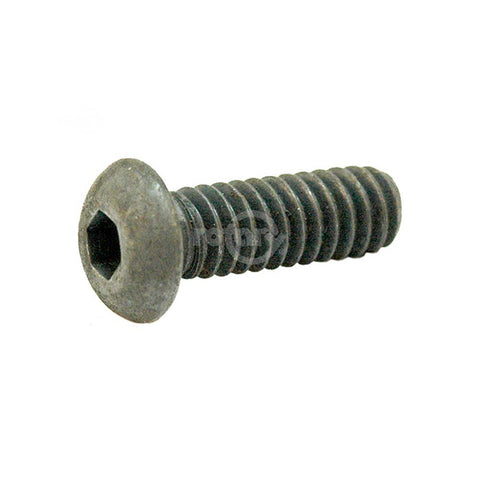 Rotary - 5517 - BOLTS SCRAPER BAR SNOWBLOWER                                 